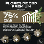 Flores CBD Premium: Candy Kush