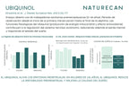 Datos sobre el Ubiquinol