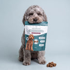 Masticables de NMN para Perros