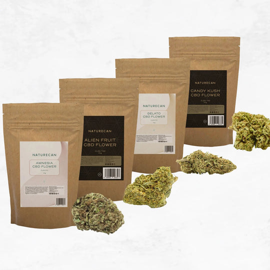 Pack CBD premium y estándar
