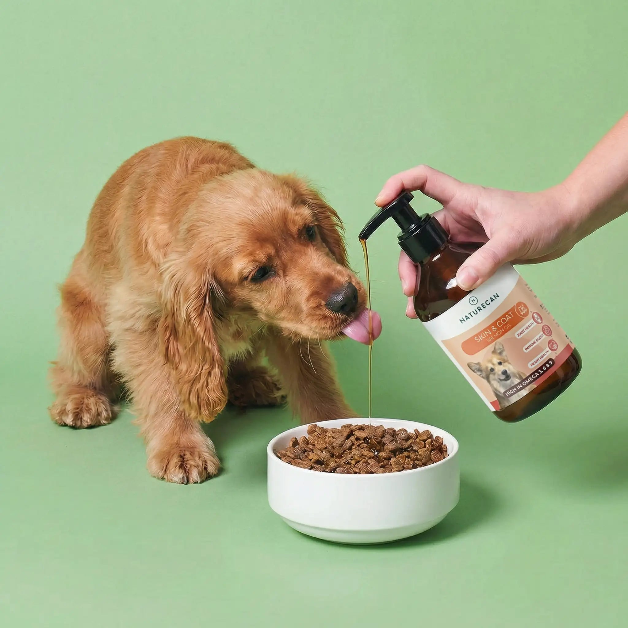 Aceite de salmón para perros