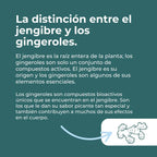 Suplemento de jengibre orgánico