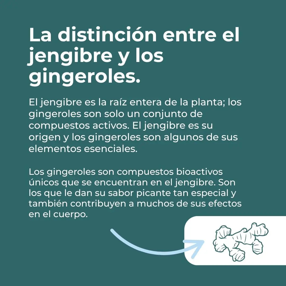 Suplemento de jengibre orgánico