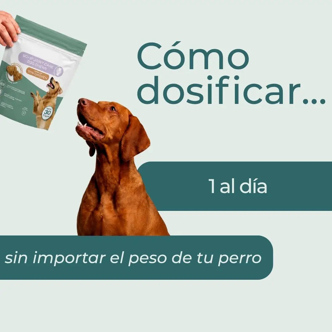 Masticables UC-II para perros (cuidado de las articulaciones)