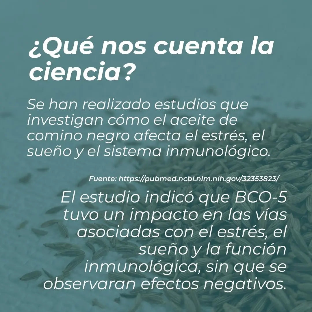 Aceite de comino negro