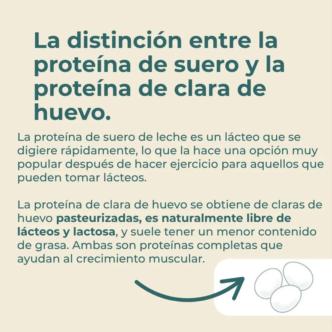 Proteína de clara de huevo