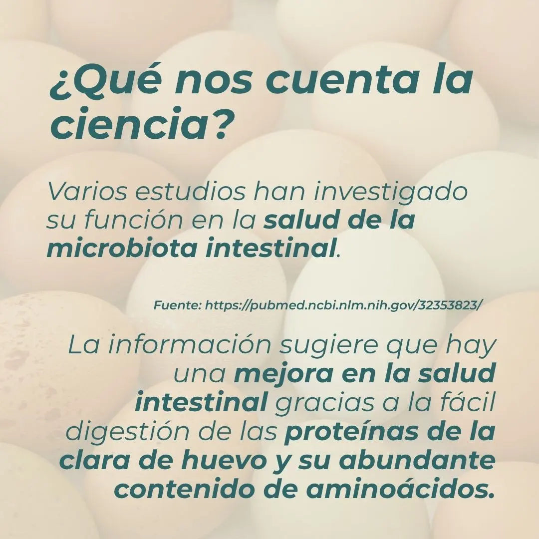 Proteína de clara de huevo