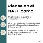 Suplemento NAD (NR) de Naturecan