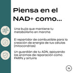 NMN Cápsulas | potenciador de NAD+