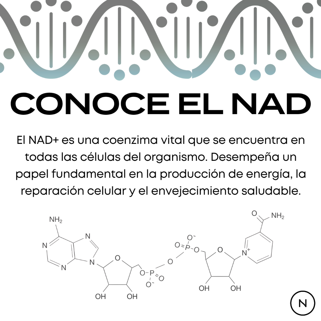 Suplemento NAD (NR) de Naturecan