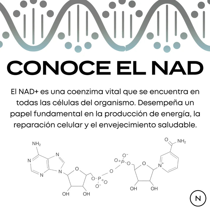 NMN Cápsulas | potenciador de NAD+