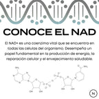 NMN Cápsulas | potenciador de NAD+
