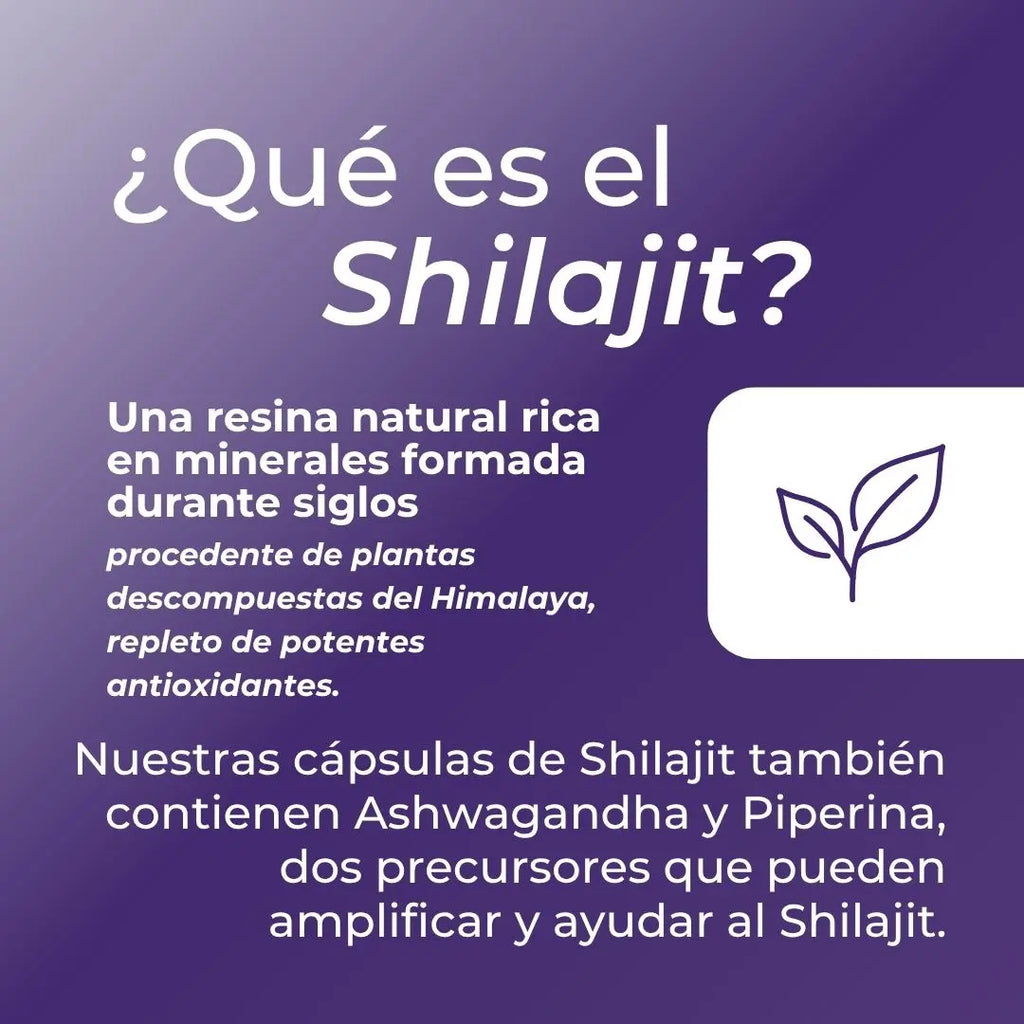 Capsulas shilajit