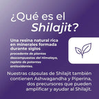 Capsulas shilajit
