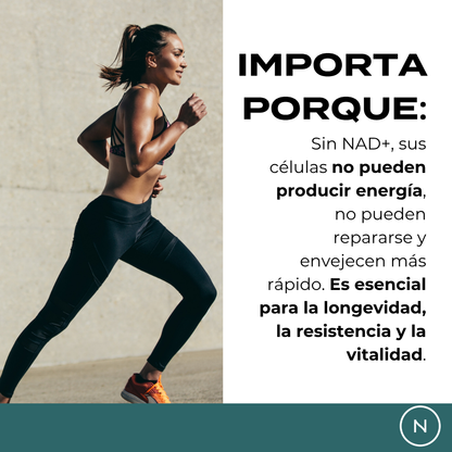 Suplemento NAD (NR) de Naturecan