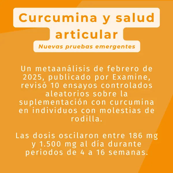 explicación de la curcumina activa