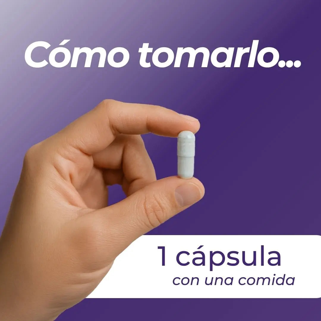 Capsulas shilajit