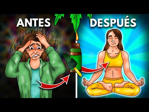 Descubre QUÉ ES el CBD, CÓMO ACTÚA y sus BENEFICIOS (Ansiedad, Estrés, Dolor) - Dr Borja Bandera