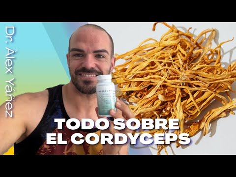 Complejo de setas Comprimidos