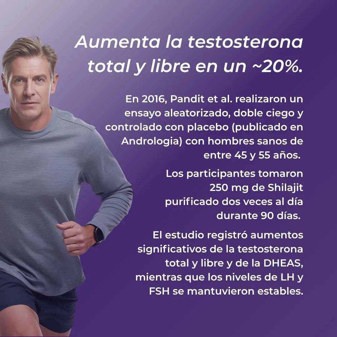 Capsulas shilajit