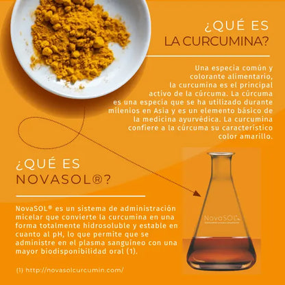 explicación de la curcumina activa